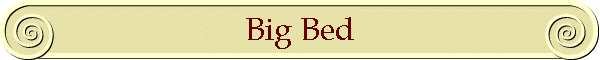 Big Bed